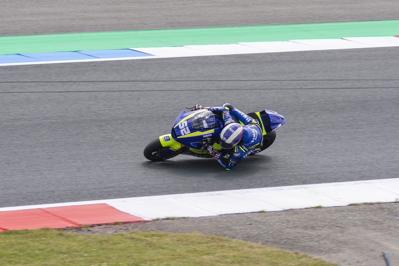 表现引人注 表现引人注