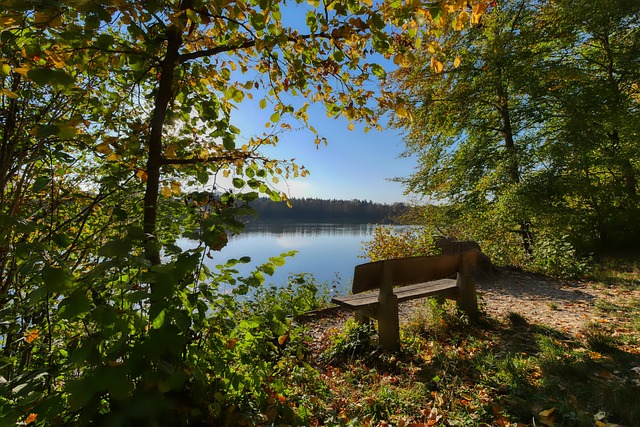 也难以避免 也难以避免