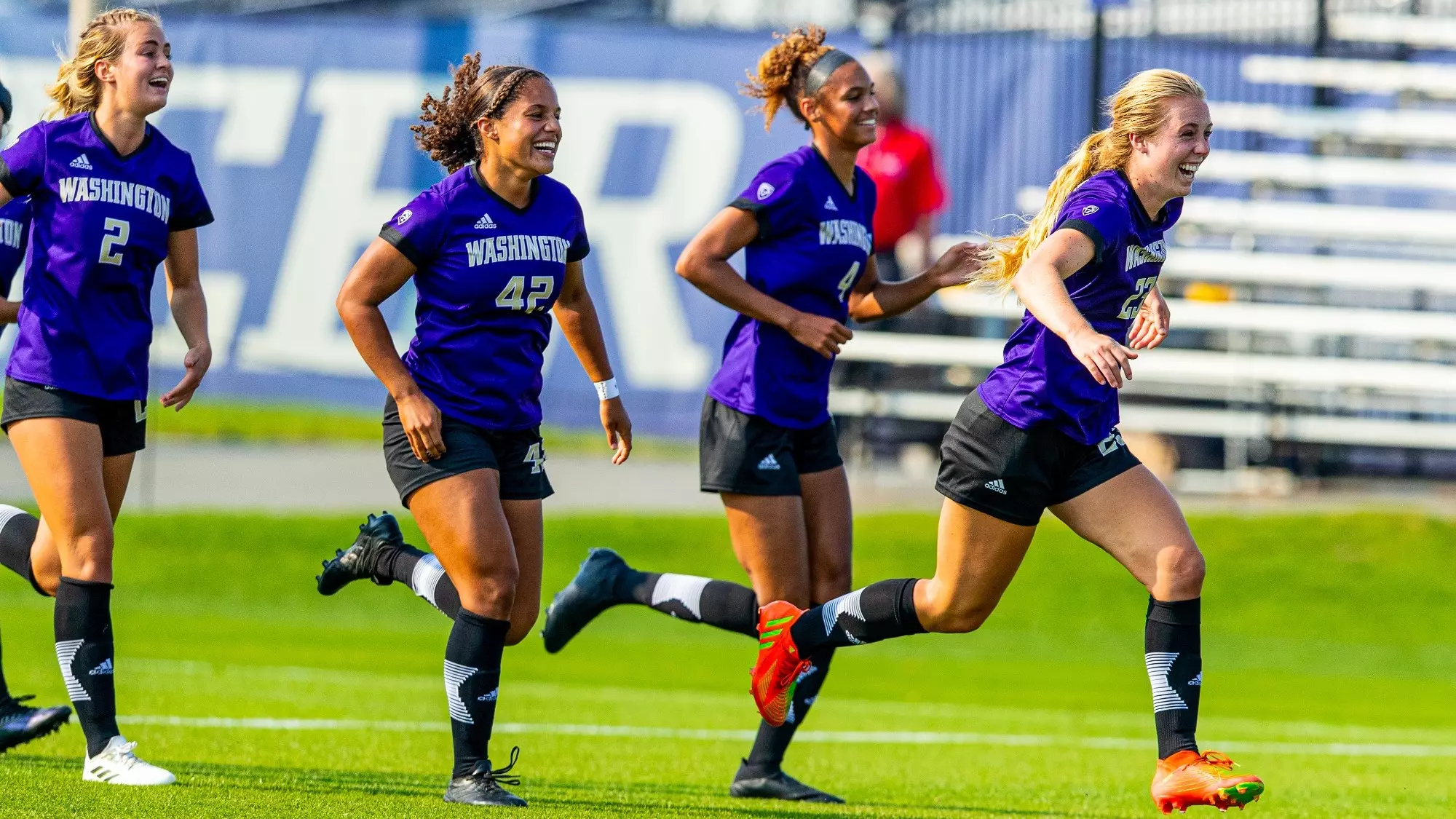 惠灵顿凤凰 惠灵顿凤凰