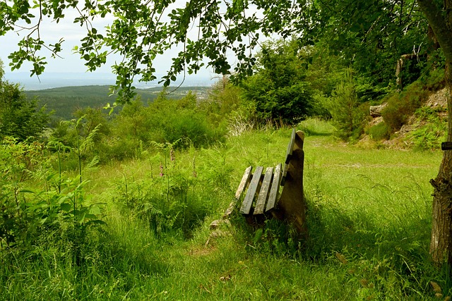在赛场上的 在赛场上的
