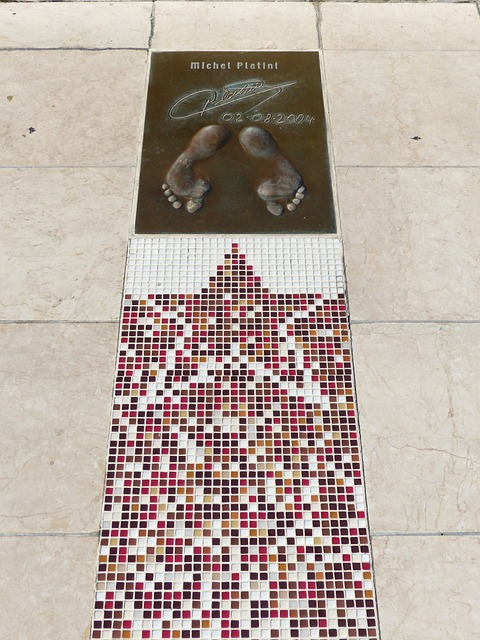 与灰熊队的 与灰熊队的