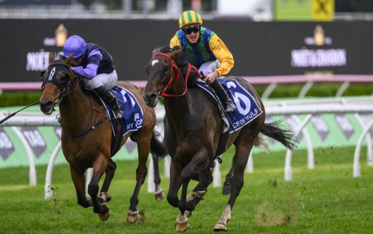 还在于它带 还在于它带